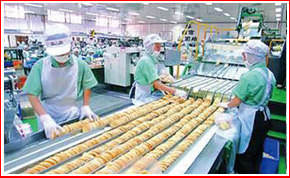 食品级输送机
