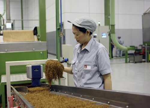 烟草链板输送设备