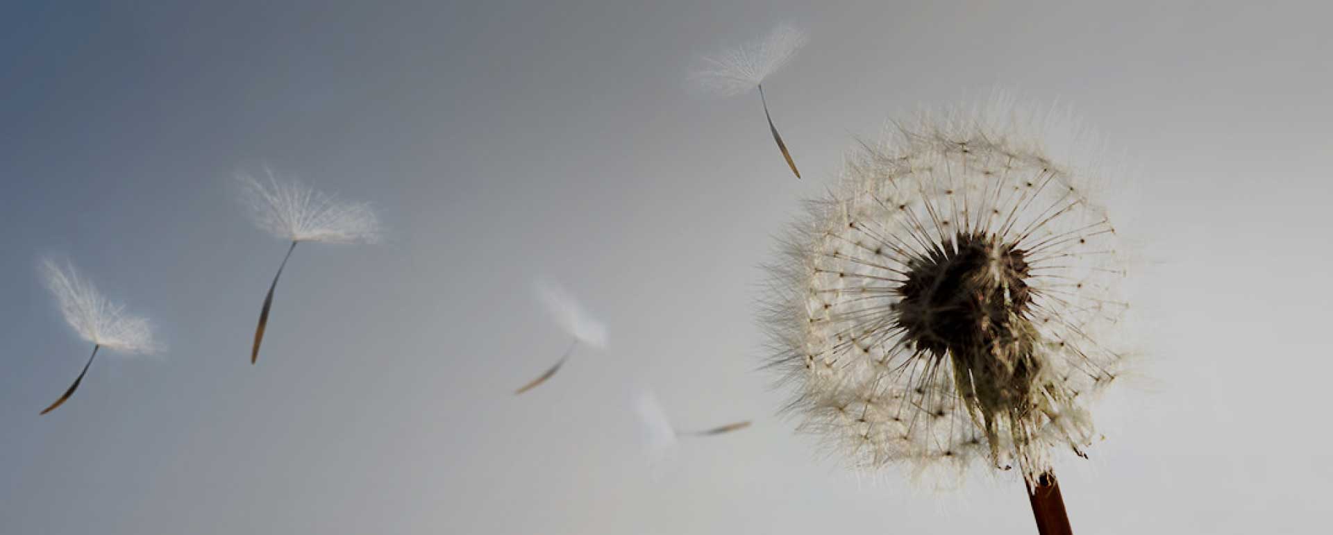 ag贵宾会·(中国)集团